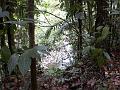 17b - Parc des Mamelles - Marche 008